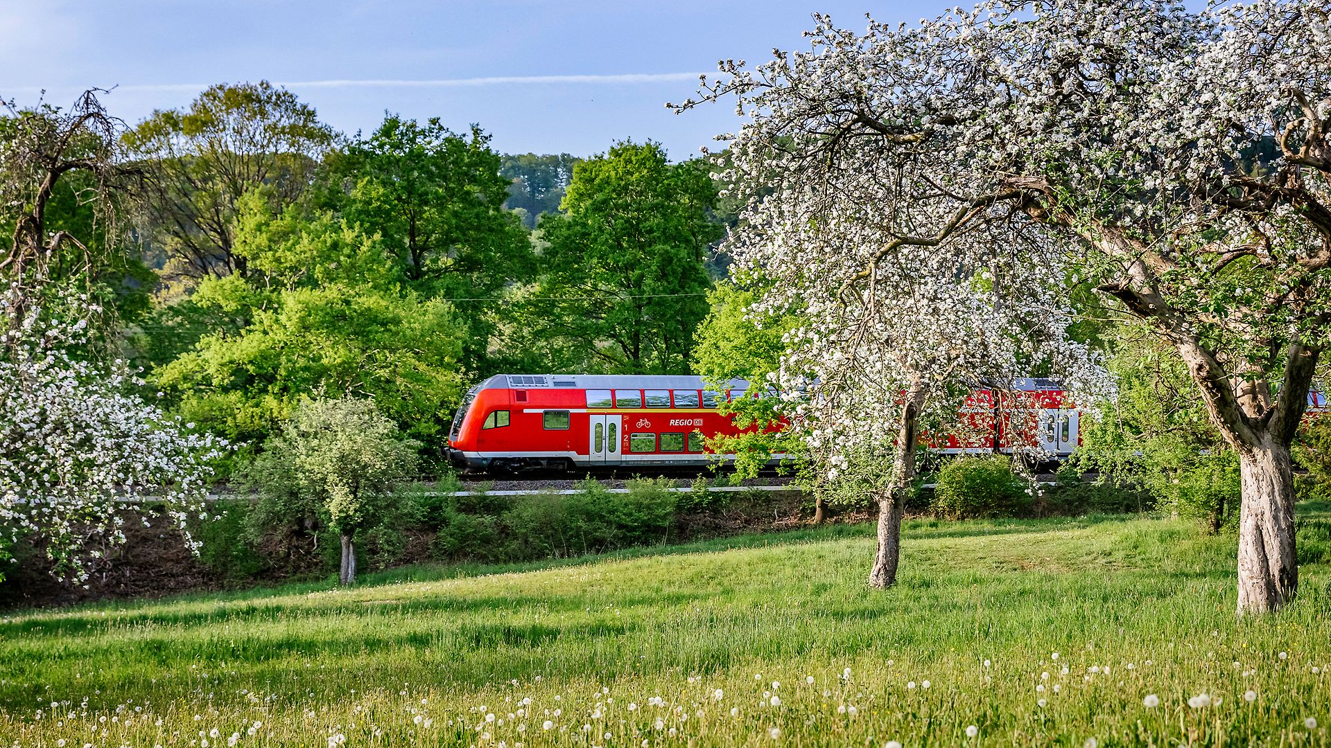 RSX-Zug fährt durch eine blühende, grüne Naturlandschaft.